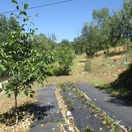 Bungalow "A Choupana" - Quinta da Carvoíça - Vale Pradinhos Vale de Pradinhos Bagian luar foto
