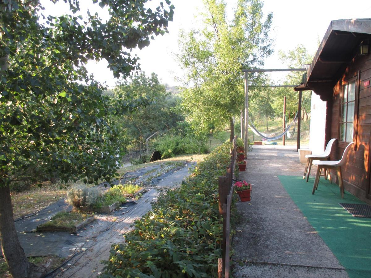 Bungalow "A Choupana" - Quinta da Carvoíça - Vale Pradinhos Vale de Pradinhos Bagian luar foto