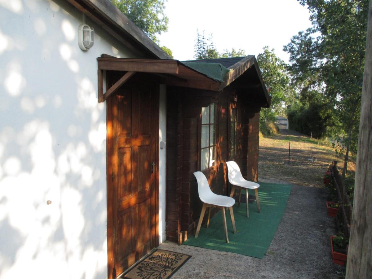 Bungalow "A Choupana" - Quinta da Carvoíça - Vale Pradinhos Vale de Pradinhos Bagian luar foto