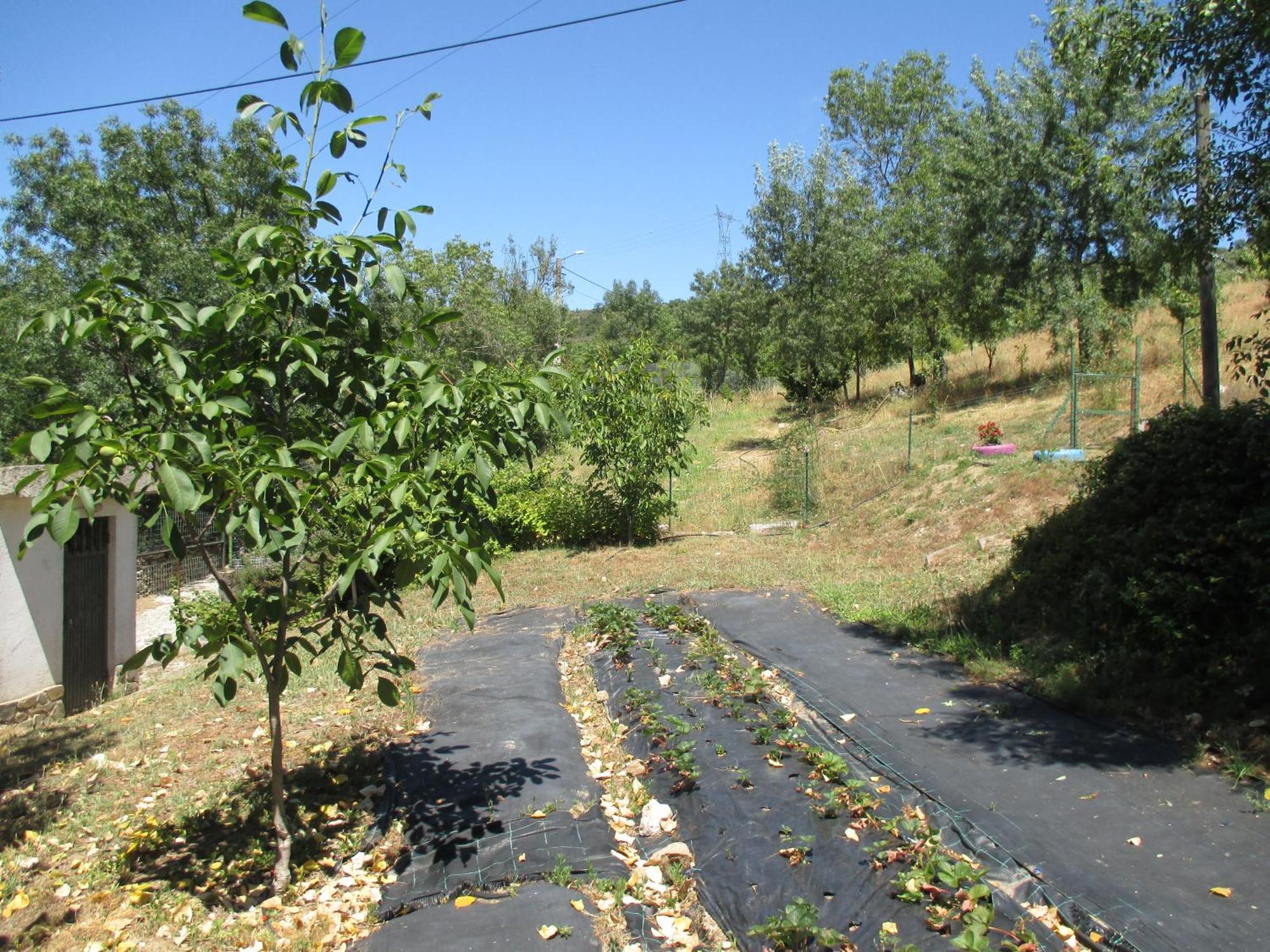 Bungalow "A Choupana" - Quinta da Carvoíça - Vale Pradinhos Vale de Pradinhos Bagian luar foto