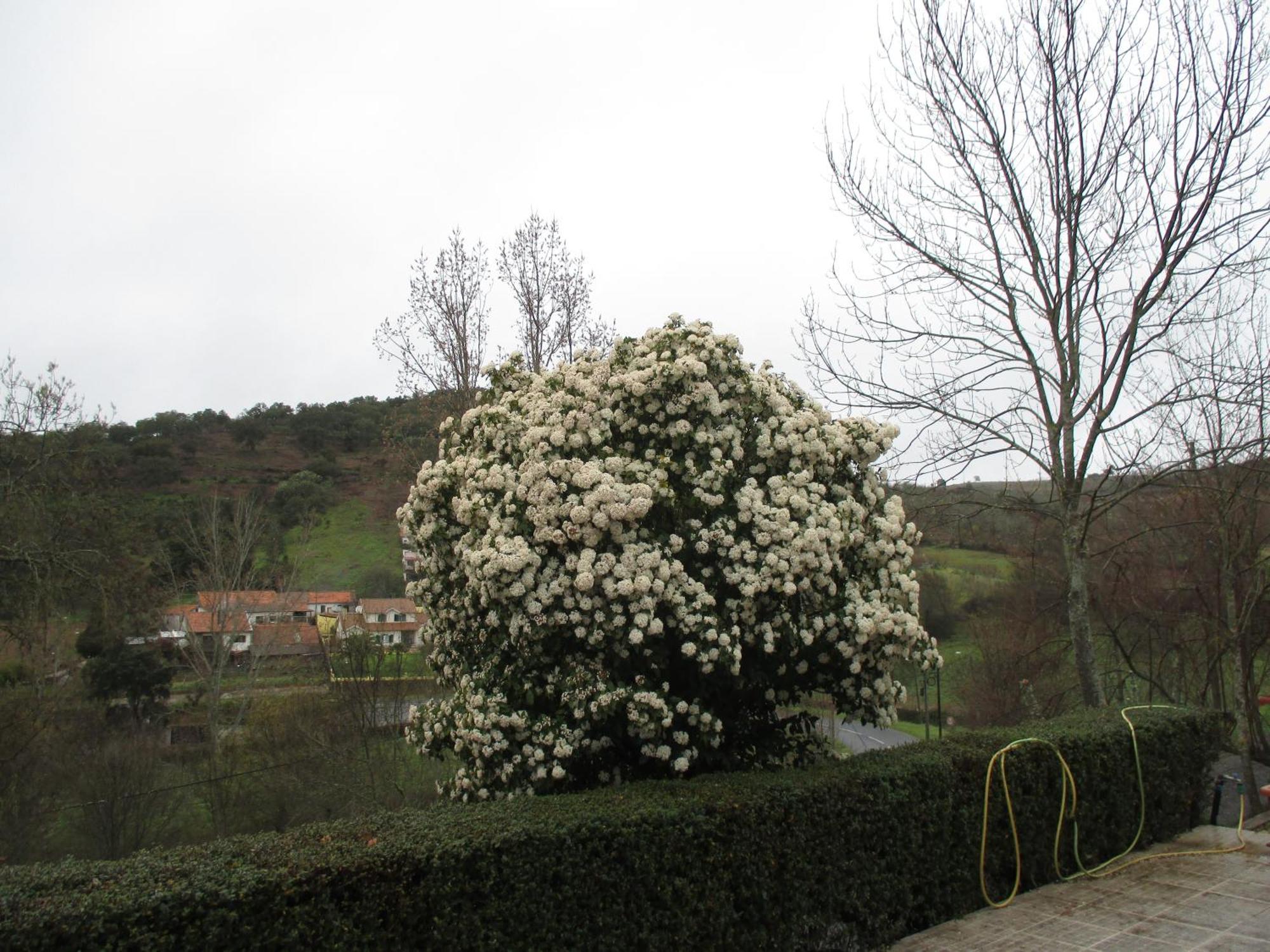 Bungalow "A Choupana" - Quinta da Carvoíça - Vale Pradinhos Vale de Pradinhos Bagian luar foto
