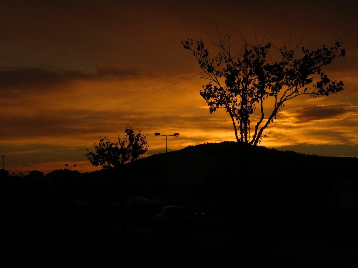Bungalow "A Choupana" - Quinta da Carvoíça - Vale Pradinhos Vale de Pradinhos Bagian luar foto