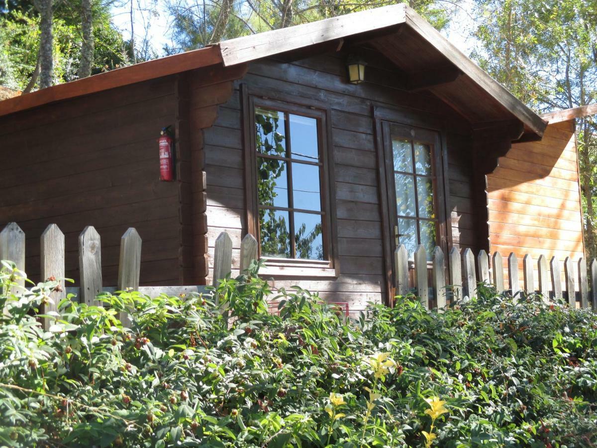 Bungalow "A Choupana" - Quinta da Carvoíça - Vale Pradinhos Vale de Pradinhos Bagian luar foto